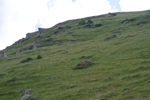 Unul din numeroasele blocuri glisante de pe versantii vaii Ialomitei